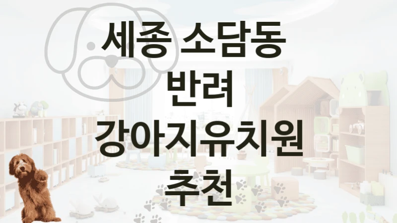 세종 소담동 
반려 강아지유치원 추천