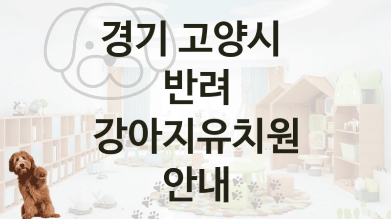 경기 고양시 
반려 강아지유치원 안내