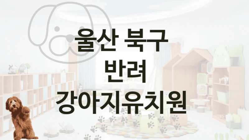 울산 북구 
반려 강아지유치원