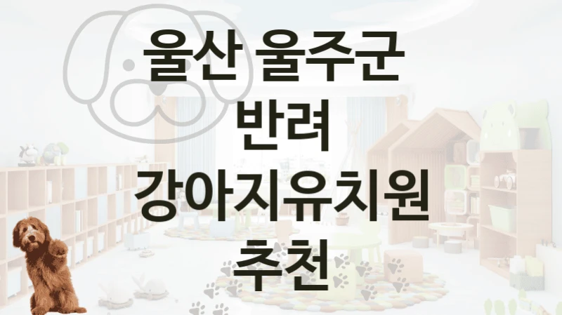 울산 울주군 
반려 강아지유치원 추천