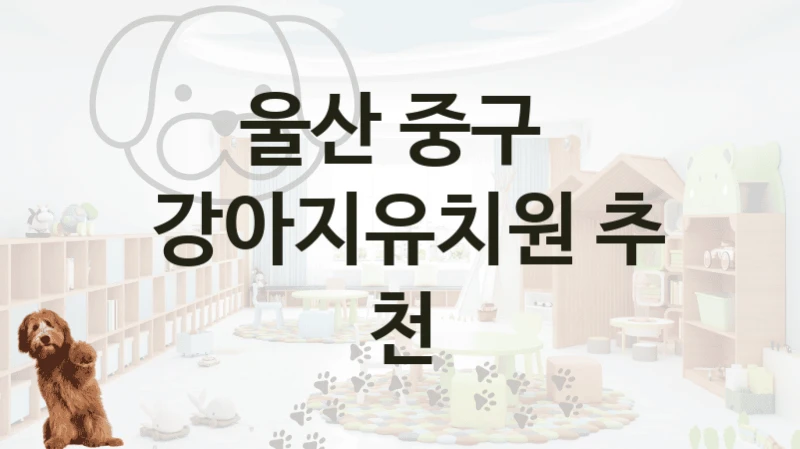 울산 중구 
 강아지유치원 추천