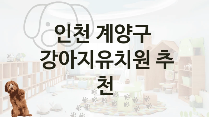 인천 계양구 
 강아지유치원 추천