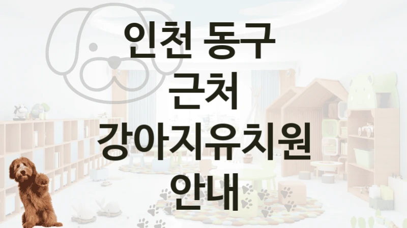 인천 동구 
근처 강아지유치원 안내