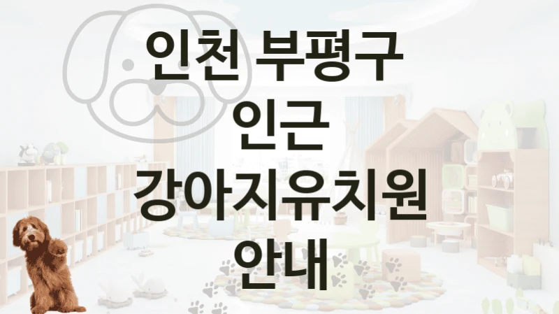인천 부평구 
인근 강아지유치원 안내