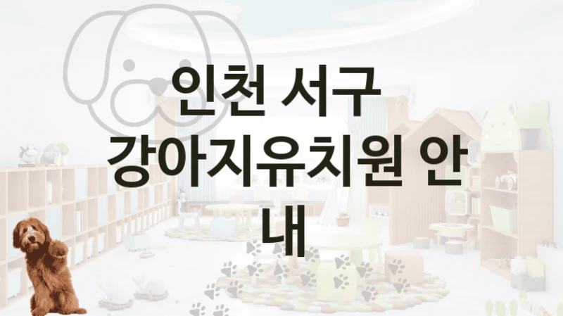 인천 서구 
 강아지유치원 안내