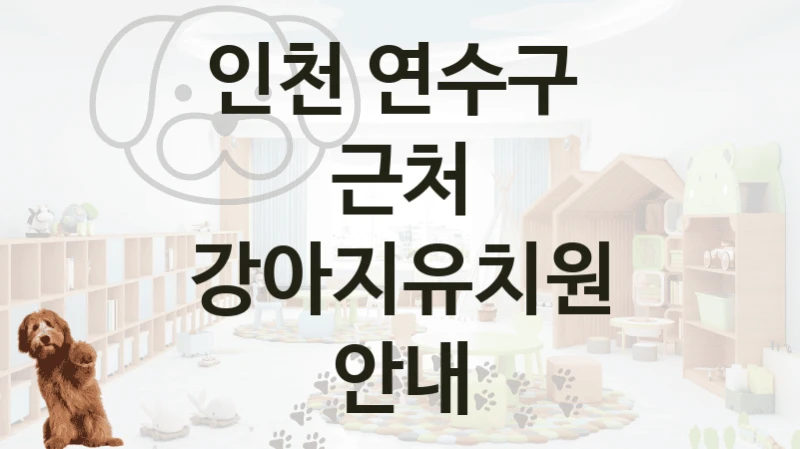 인천 연수구 
근처 강아지유치원 안내