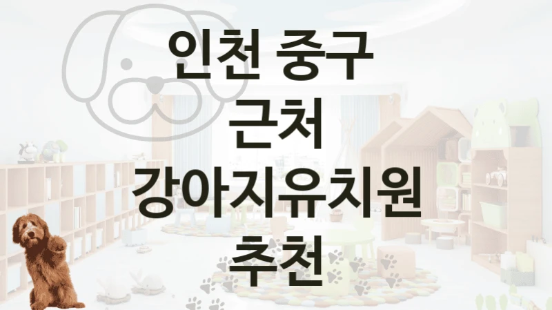 인천 중구 
근처 강아지유치원 추천