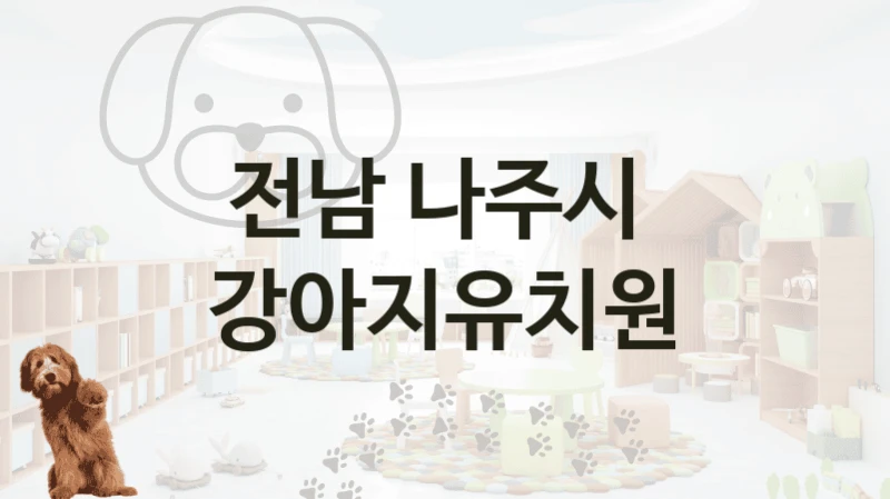 전남 나주시 
 강아지유치원