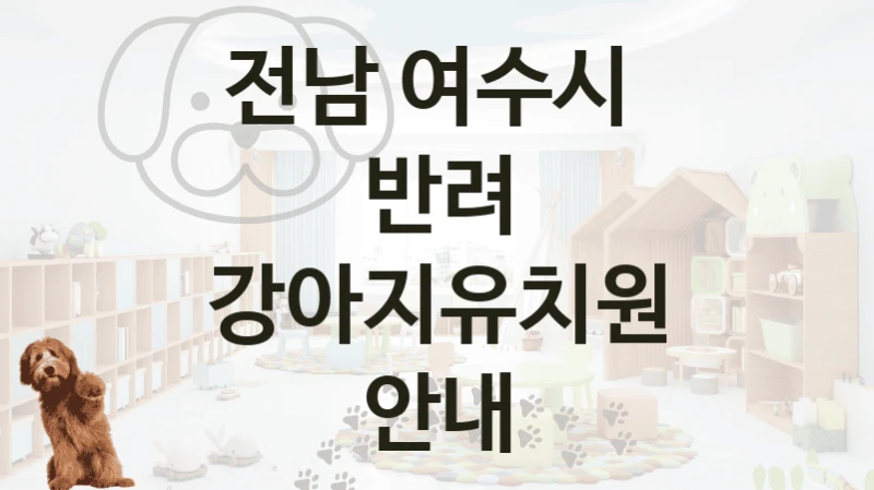 전남 여수시 
반려 강아지유치원 안내