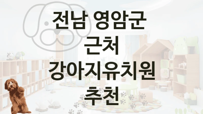 전남 영암군 
근처 강아지유치원 추천