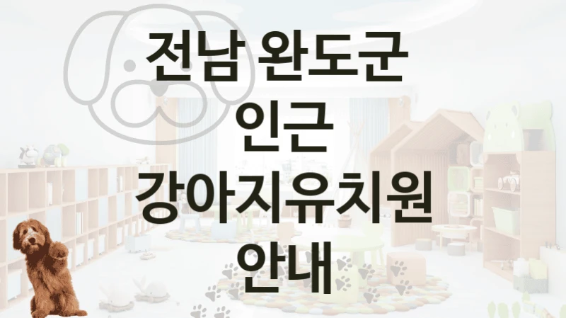 전남 완도군 
인근 강아지유치원 안내