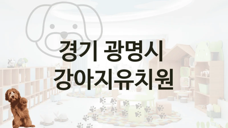 경기 광명시 
 강아지유치원