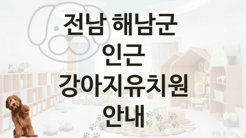 전남 해남군 
인근 강아지유치원 안내