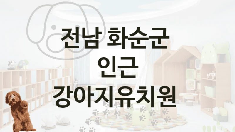 전남 화순군 
인근 강아지유치원