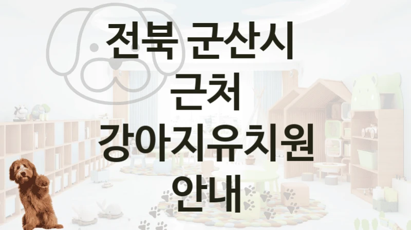 전북 군산시 
근처 강아지유치원 안내