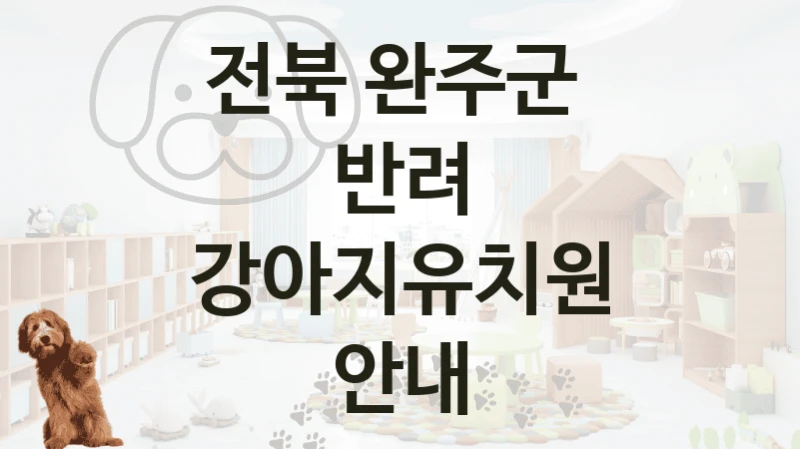 완주군 평점 높은 반려견 강아지유치원 위치 및 비용 안내