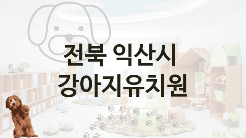 전북 익산시 
 강아지유치원