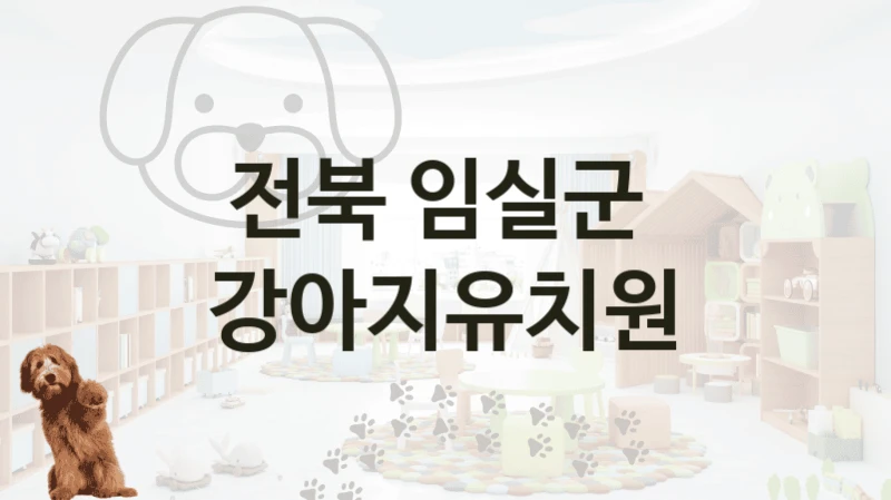 전북 임실군 근처 강아지유치원  추천