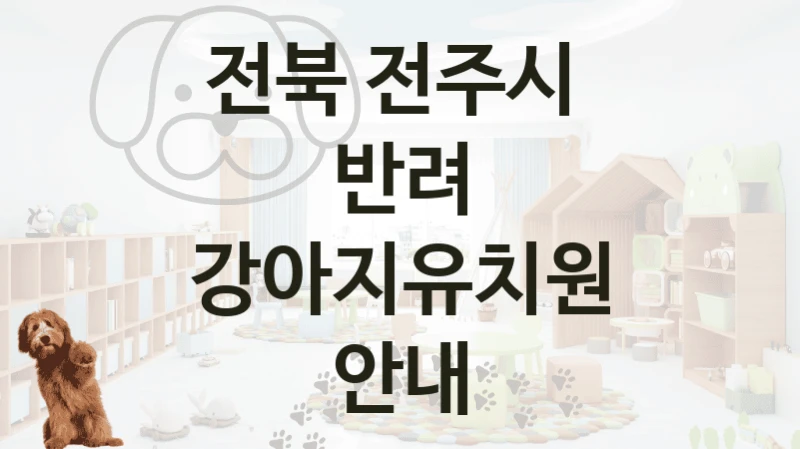 전북 전주시 
반려 강아지유치원 안내