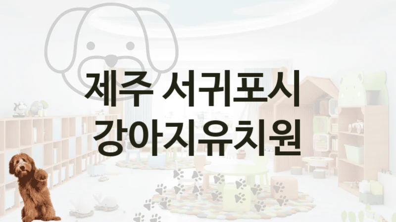 서귀포시 추천 반려견 강아지유치원 안내, 놀이터 및 교육 비용