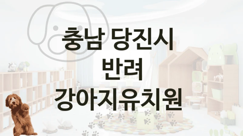 당진시  반려견 강아지유치원 소개, 놀이터 및 교육 케어가격