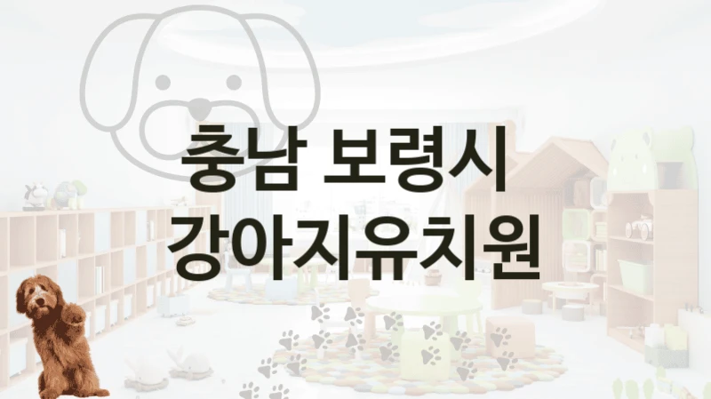 보령시 추천 반려견 강아지유치원 소개, 교육 및 관리 케어비용
