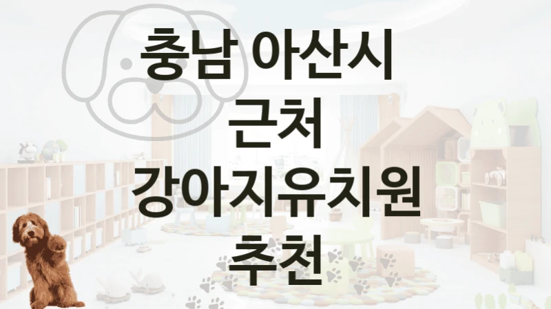 충남 아산시 댕댕이 강아지유치원 추천 리스트 – 가격과 서비스 안내