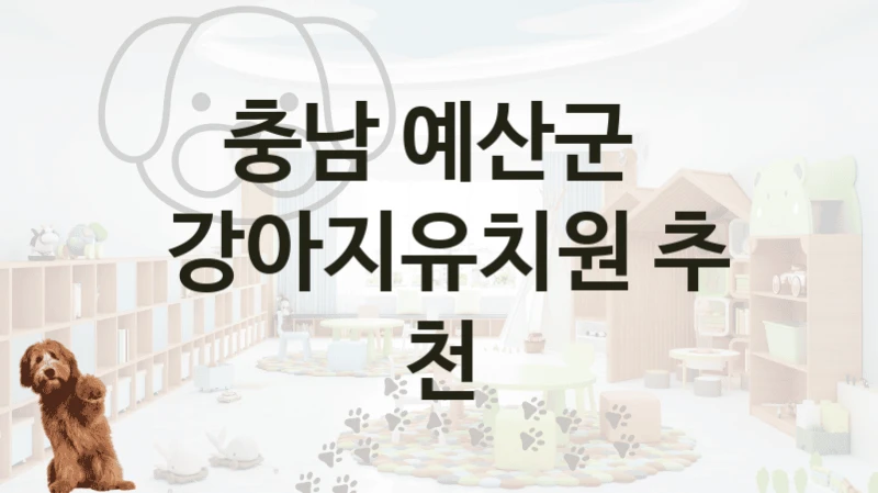 예산군 검증된 댕댕이 강아지유치원 –  가격 비교