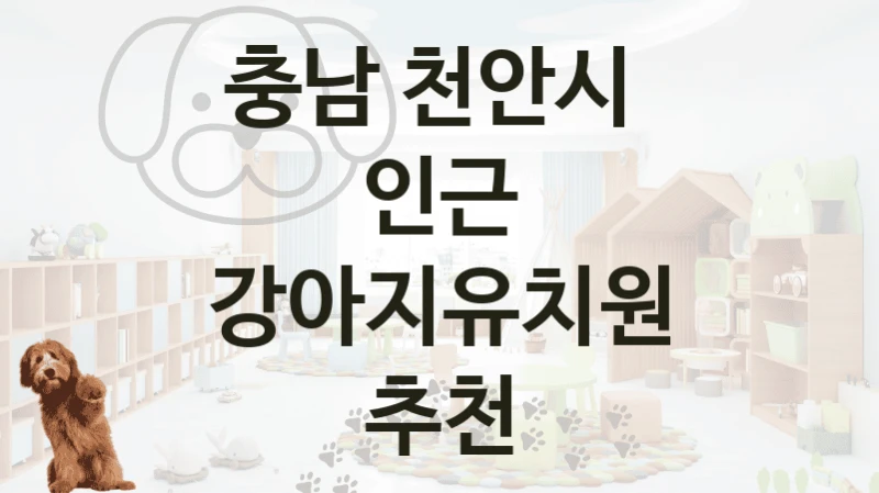 천안시 추천 반려견 강아지유치원 안내, 교육 및 관리 케어가격