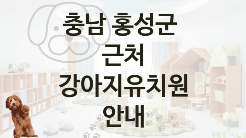반려견 케어를 위한 충남 홍성군 강아지유치원 후기 및 돌봄케어 비용