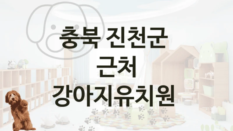 댕댕이 돌봄이 필요한 충북 진천군 강아지유치원 후기 및 돌봄케어 비용