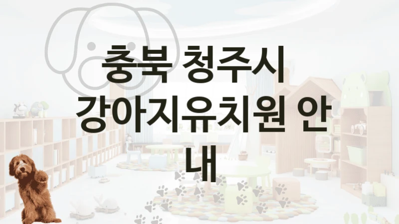 충북 청주시 댕댕이 강아지유치원  추천