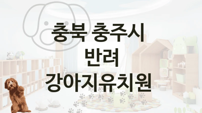 충주시 믿을 수 있는 반려견 강아지유치원 시설 및 케어 비용 안내