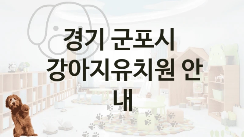 경기 군포시 
 강아지유치원 안내