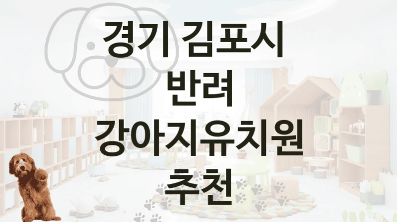 경기 김포시 
반려 강아지유치원 추천