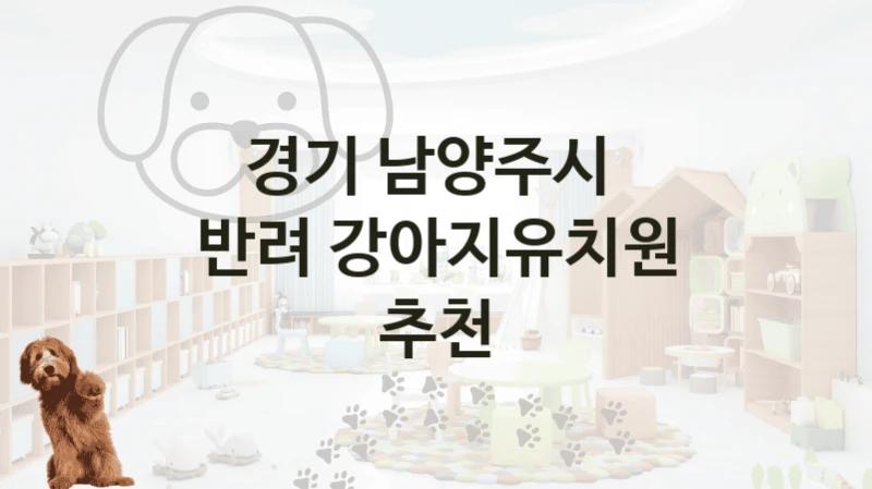 경기 남양주시 
반려 강아지유치원 추천
