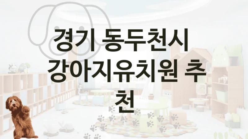 경기 동두천시 
 강아지유치원 추천