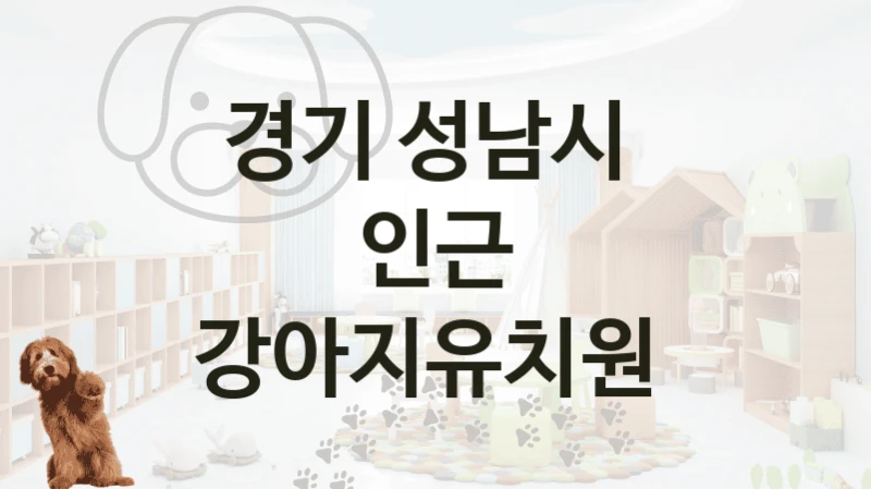 경기 성남시 
인근 강아지유치원
