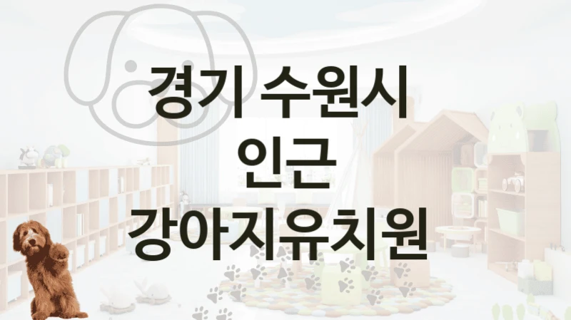 경기 수원시 
인근 강아지유치원