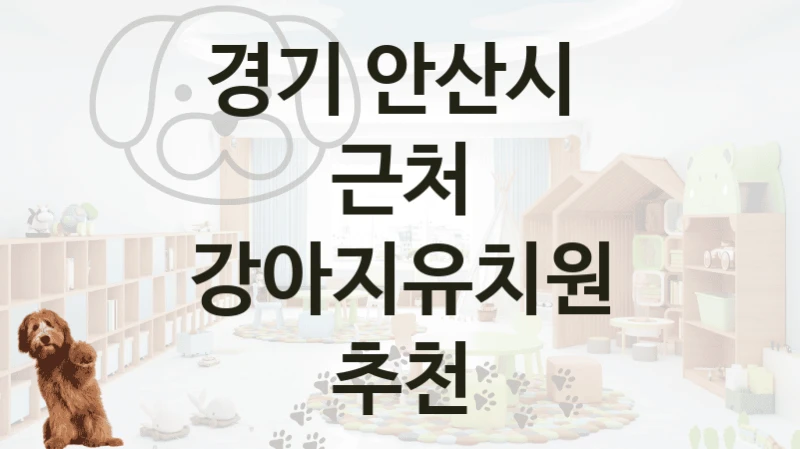 경기 안산시 
근처 강아지유치원 추천