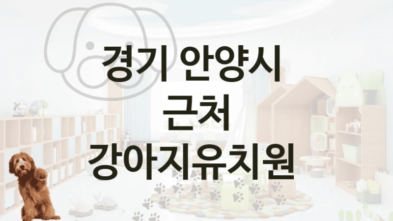 경기 안양시 
근처 강아지유치원