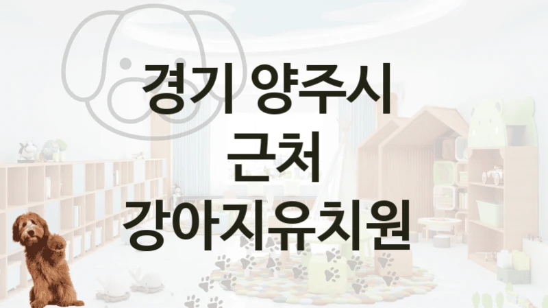 경기 양주시 
근처 강아지유치원