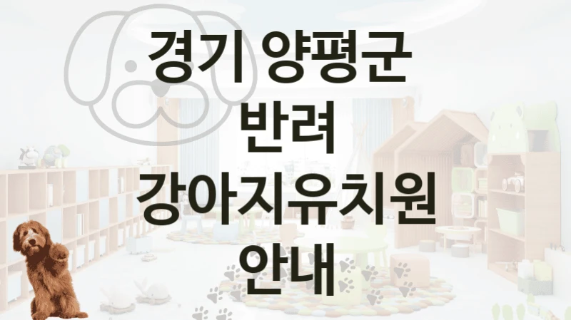 경기 양평군 
반려 강아지유치원 안내