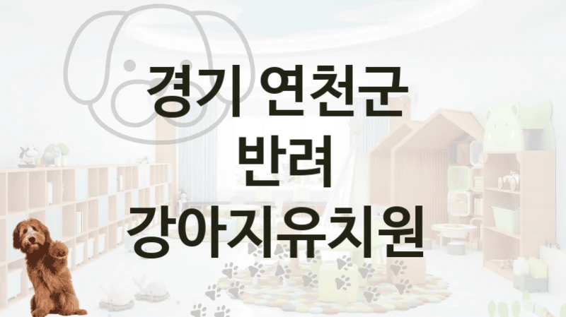 경기 연천군 
반려 강아지유치원