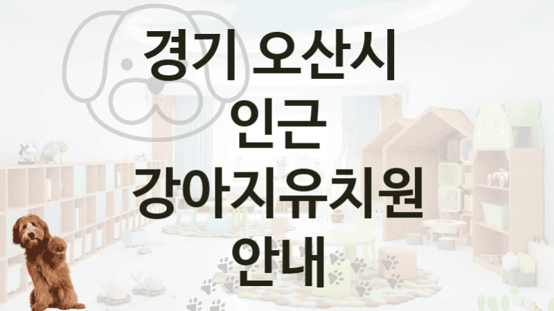 경기 오산시 
인근 강아지유치원 안내