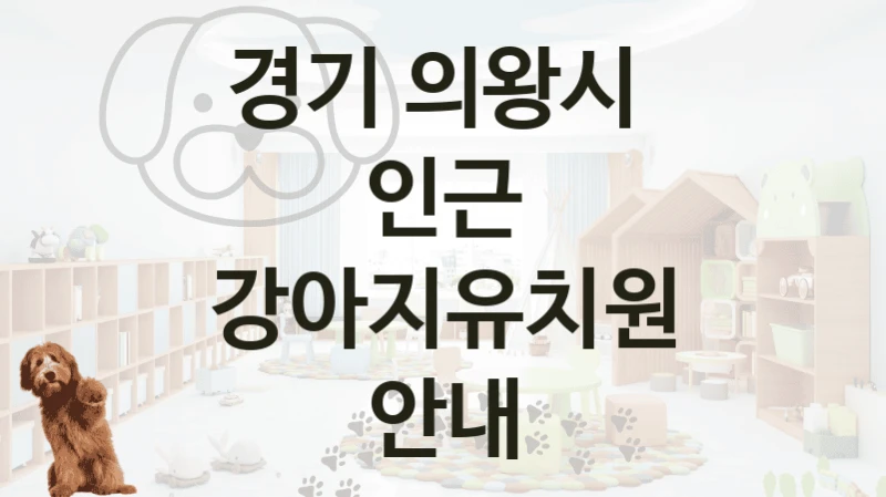 경기 의왕시 
인근 강아지유치원 안내
