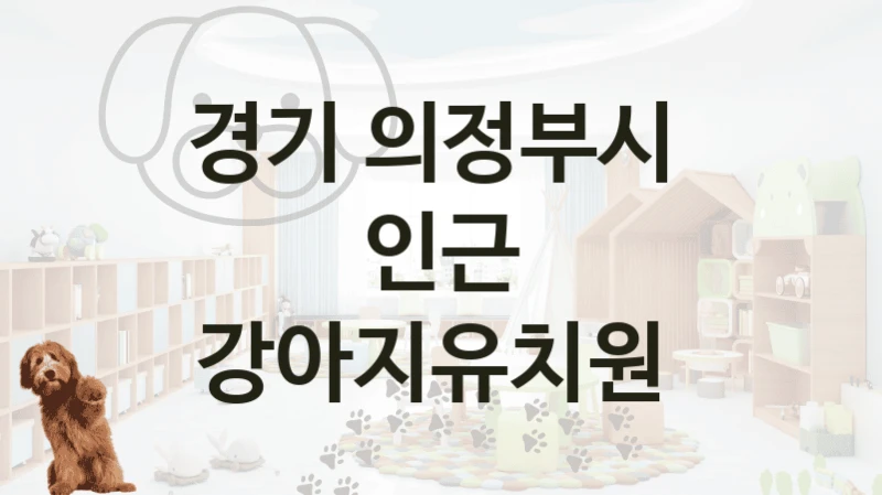 경기 의정부시 
인근 강아지유치원