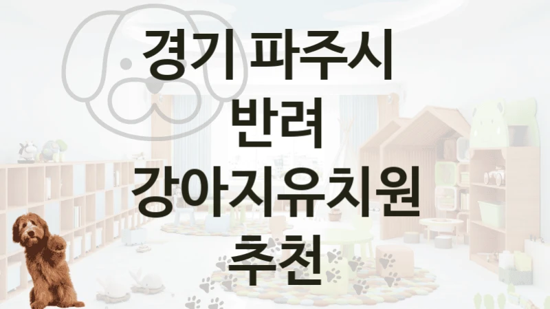 경기 파주시 
반려 강아지유치원 추천
