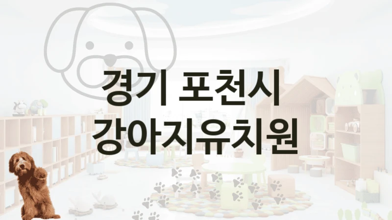 경기 포천시 
 강아지유치원