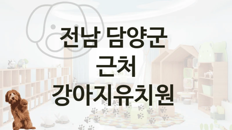 담양군 후기 좋은 반려견 강아지유치원 추천, 케어비용